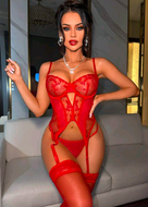 Secret Vixen Lingerie Set